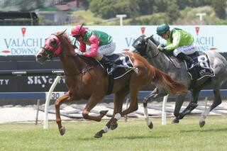 Two Illicit (NZ) (Jimmy Choux) wins the $100,000 Group Two Valachi Downs Royal Stakes (2000m). 
